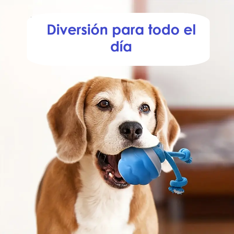 Pelota Interactiva Para Perros