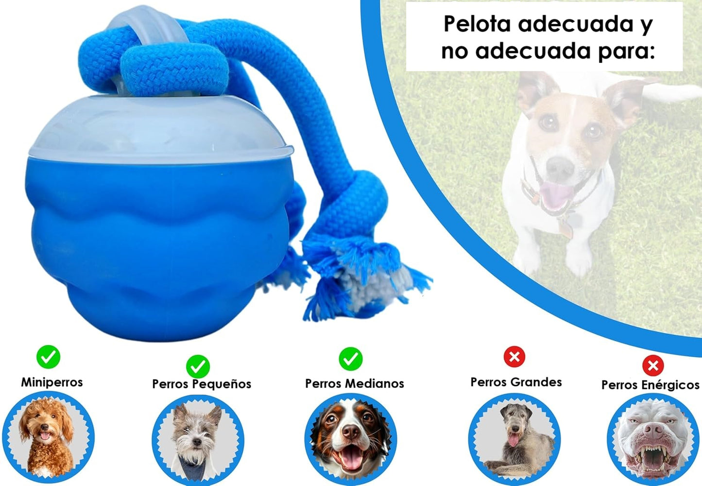 Pelota Interactiva Para Perros