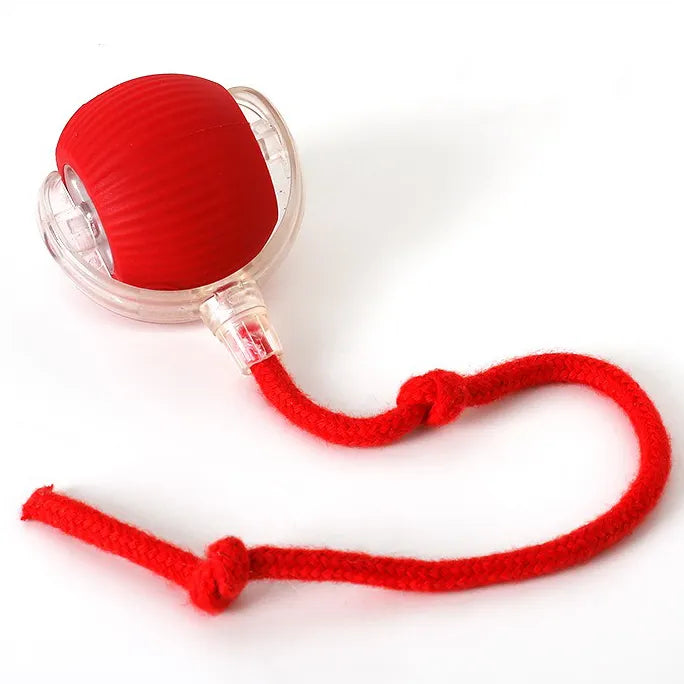 Pelota inteligente para perros y gatos